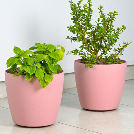 Deco Planter 12" Set of 2