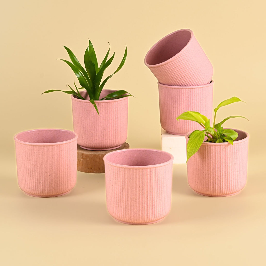 Statement Pot4" Set of 6